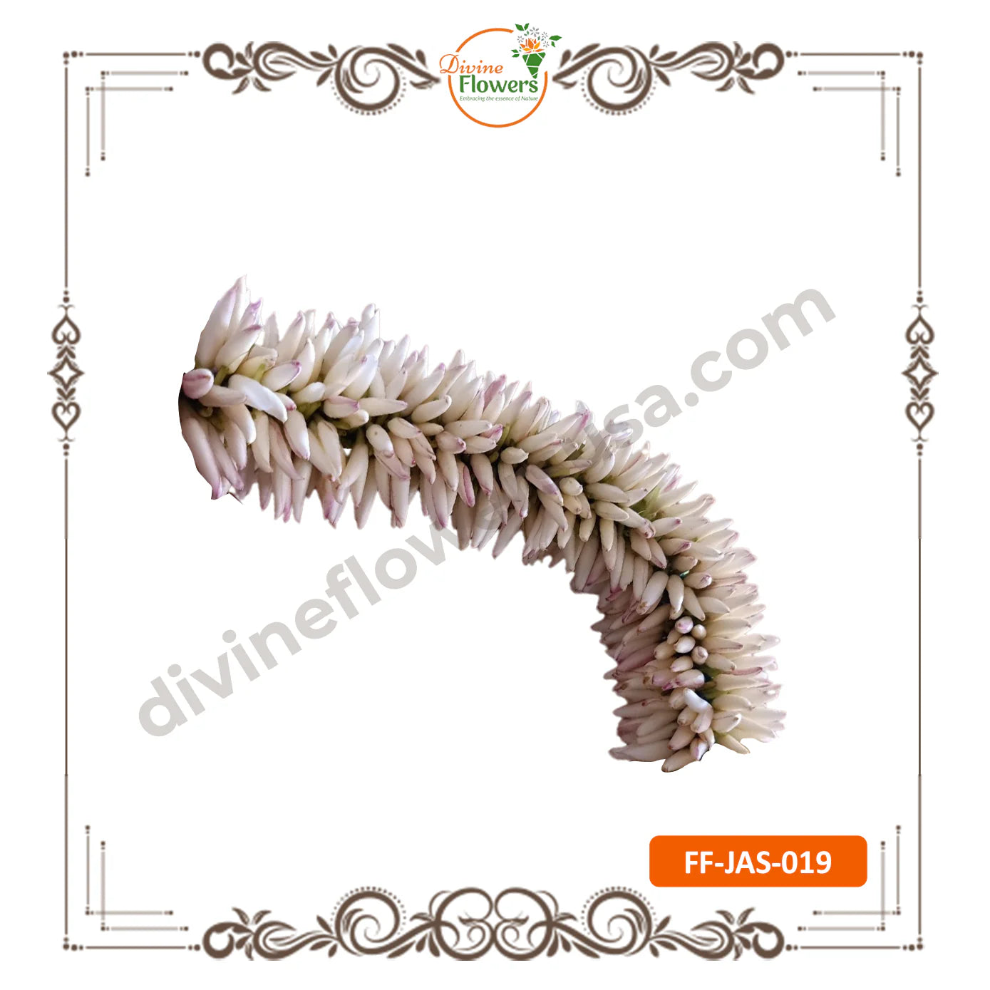 Jathi Malli String 5FT (FF-JAS-019)