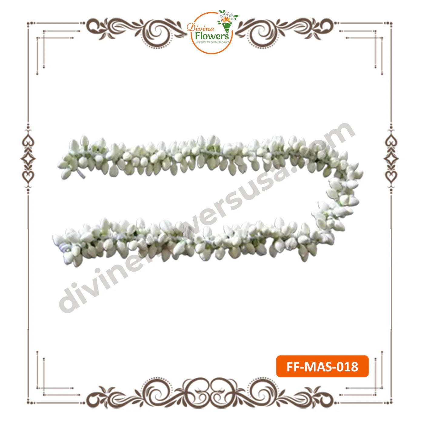 Malli String (FF-MAS-018)