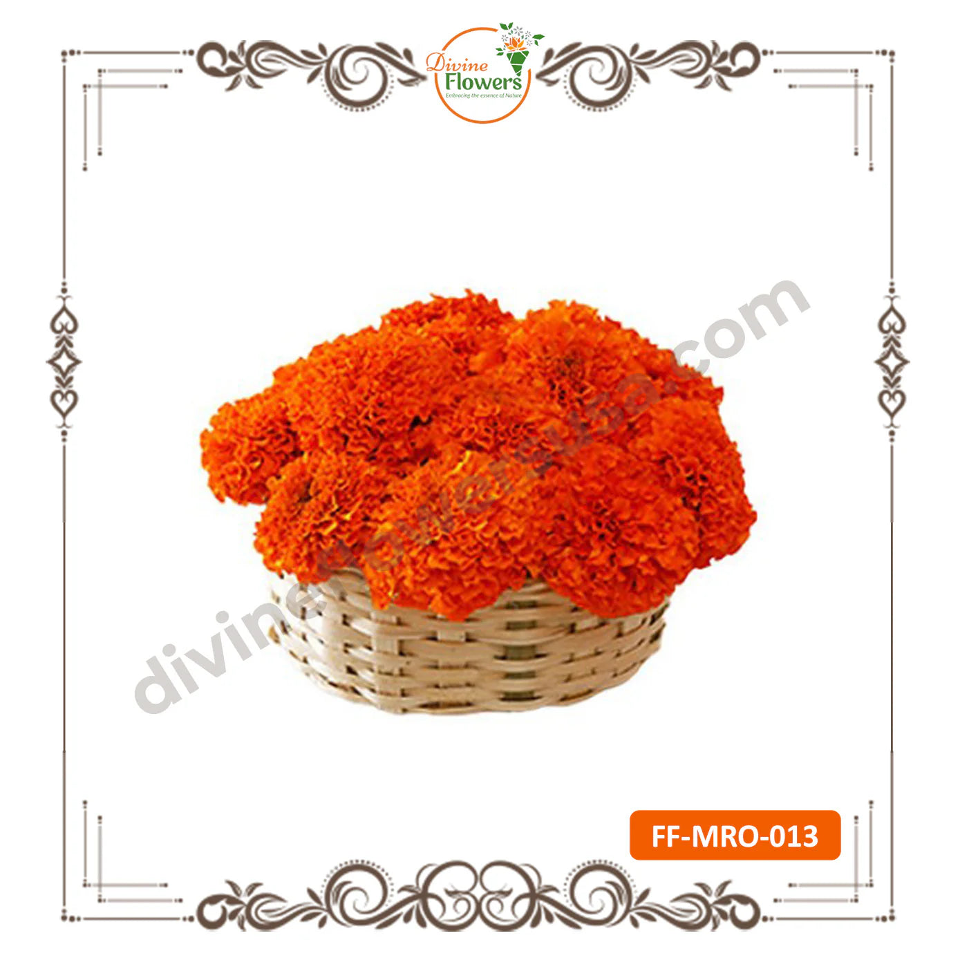 Vibrant Marigold Orange Seeds for Sale – Divine Flowers