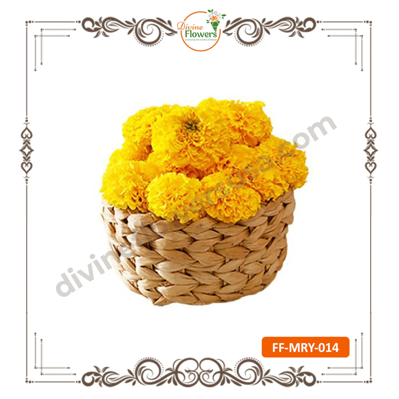 Marigold Yellow (FF-MRY-014)