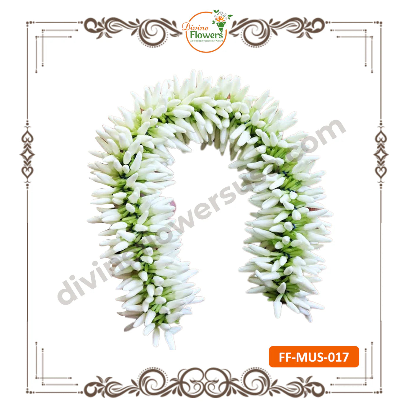 Mullai String (FF-MUS-017)