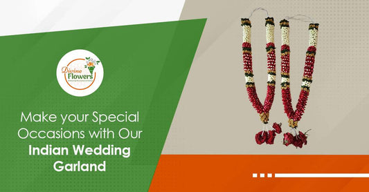 Make your special occasions with our Indian Wedding Garland