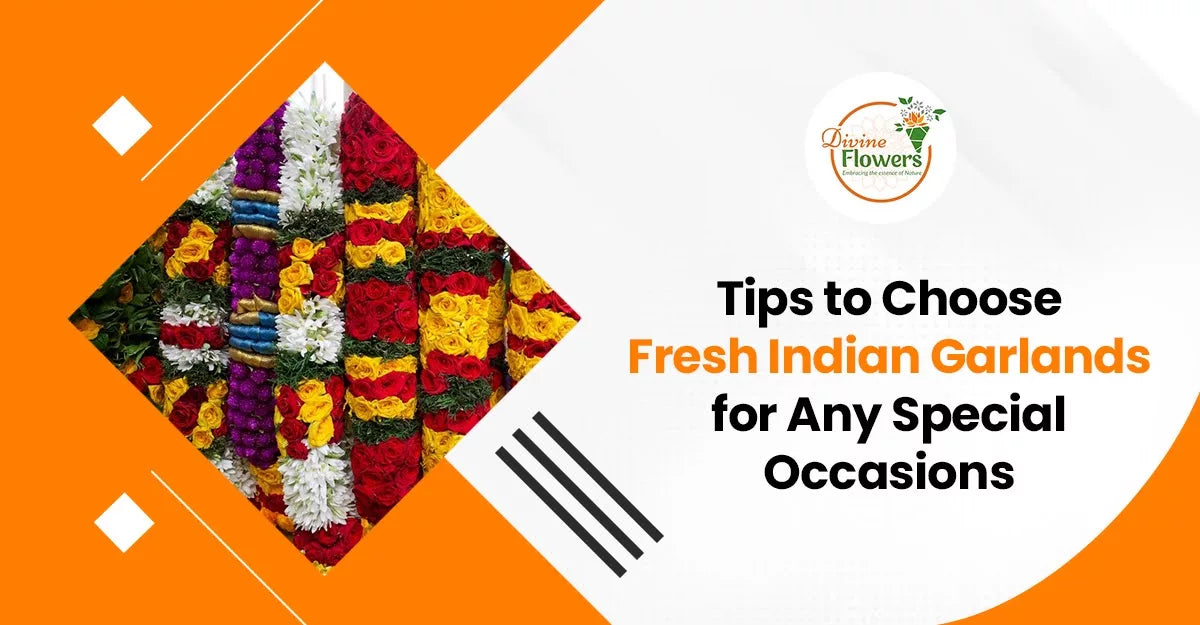 Tips to Choose Fresh Indian Garlands for Any Special Occasions