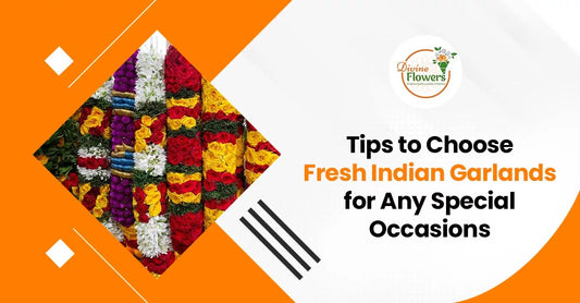 Tips to Choose Fresh Indian Garlands for Any Special Occasions