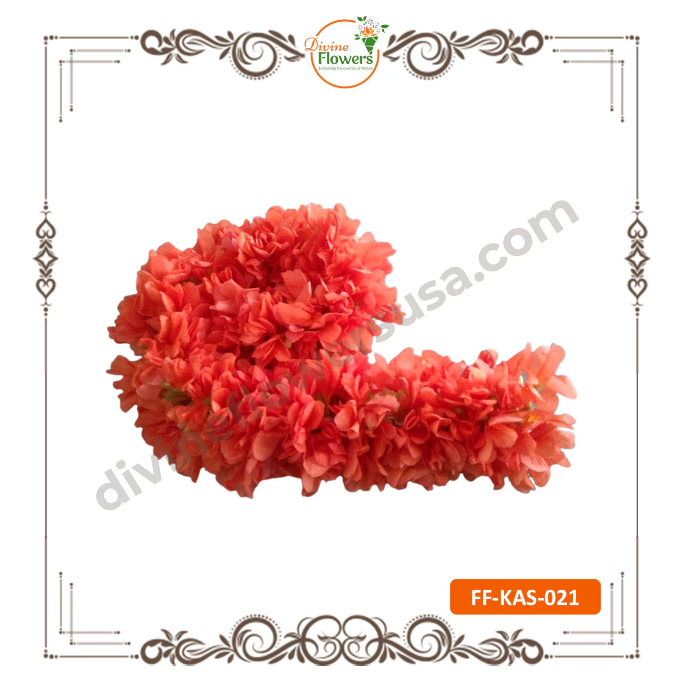 Kanakambaram String 5FT (FF-KAS-021)