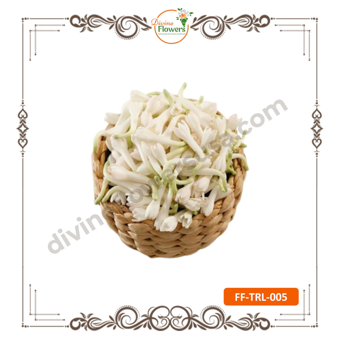 Tube Rose Loose (FF-TRL-005)