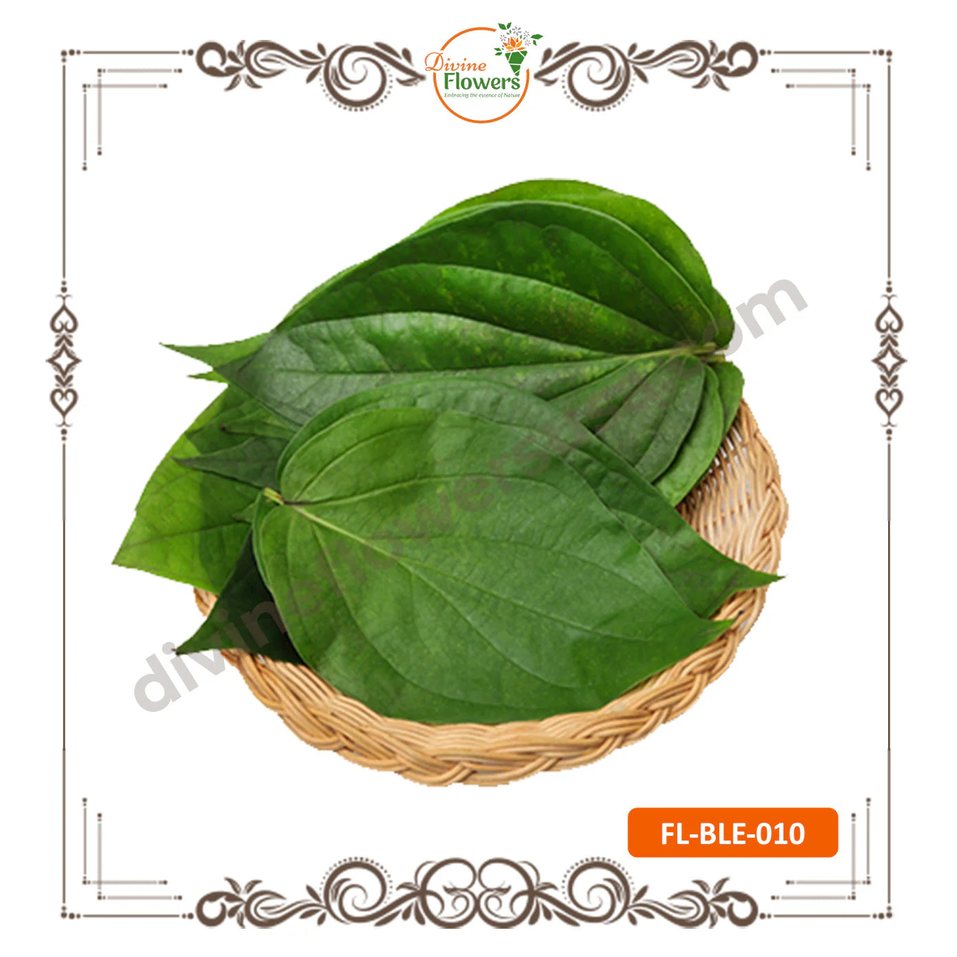 Indian Betel Leaves (FL-BLE-010)