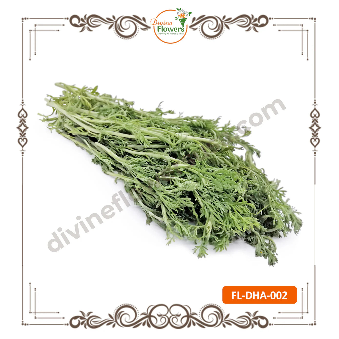 Marikolunthu / Dhavanam (FL-DHA-002)