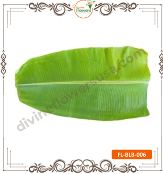 Banana Leaves 2 Ft Long