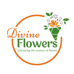 divine logo