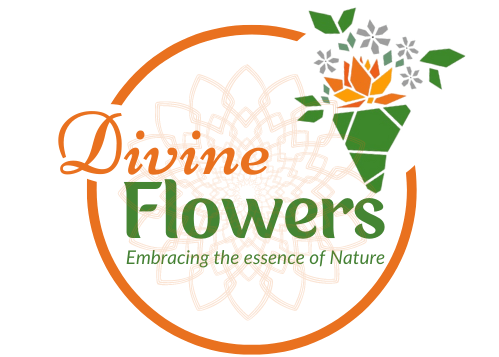 divine logo