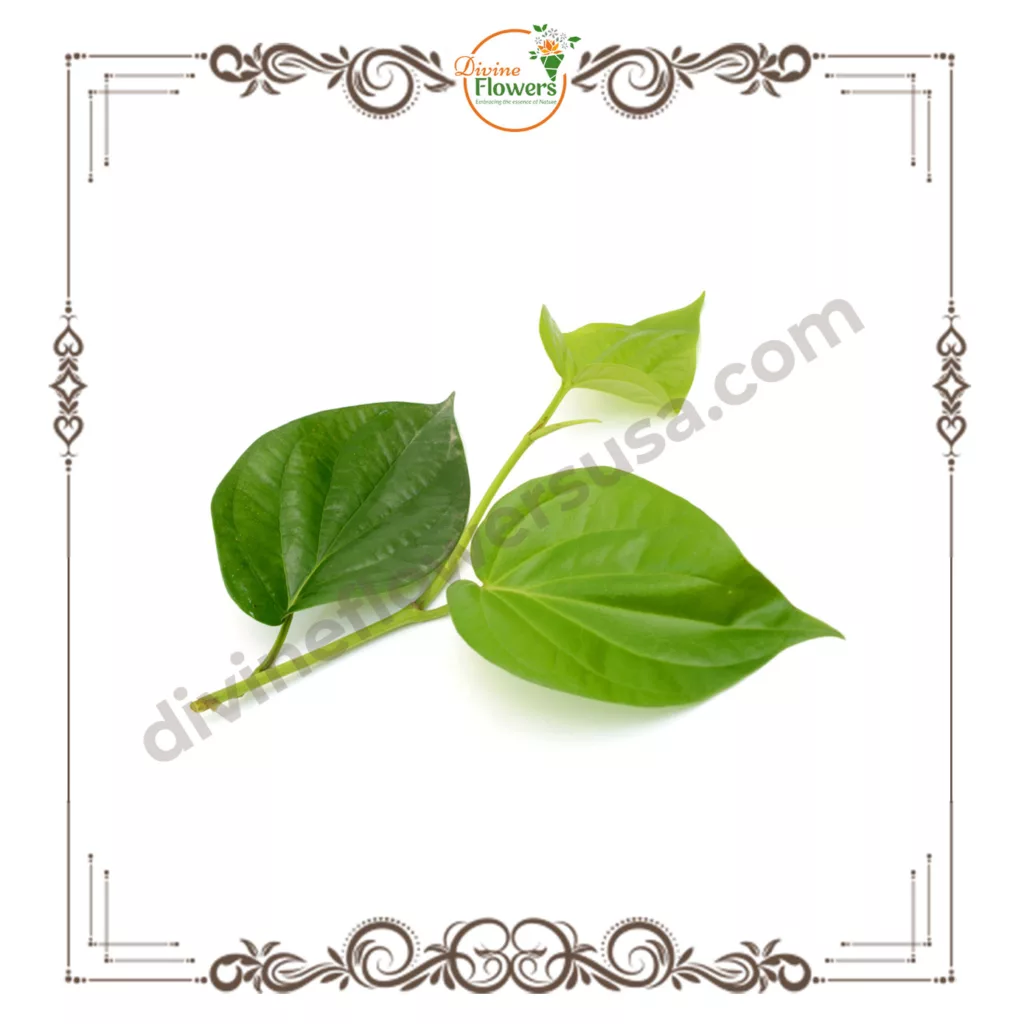 Betel leaves 1 jpg