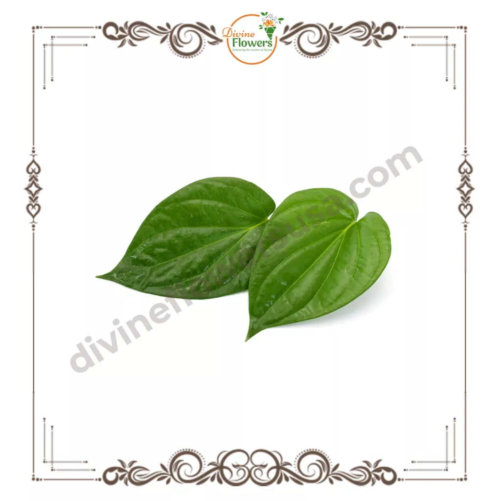 Betel leaves 3 jpg