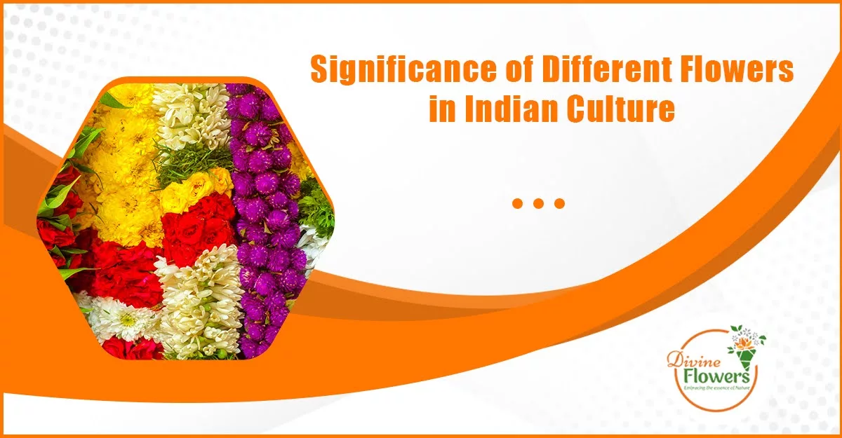 Significance indian flowers