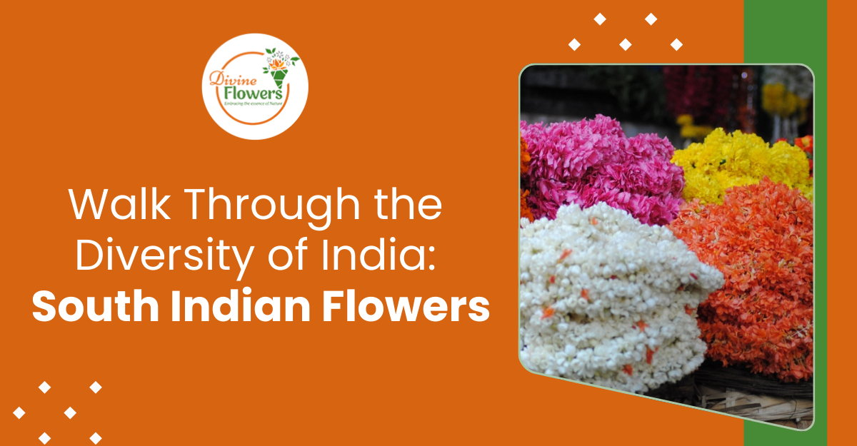 Walk Through the Diversity of India: South Indian Flowers